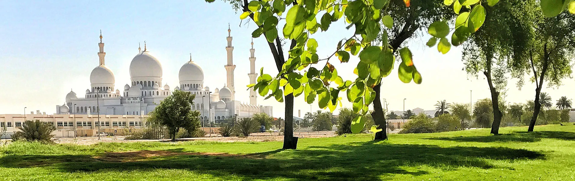 flights from amman to abu dhabi