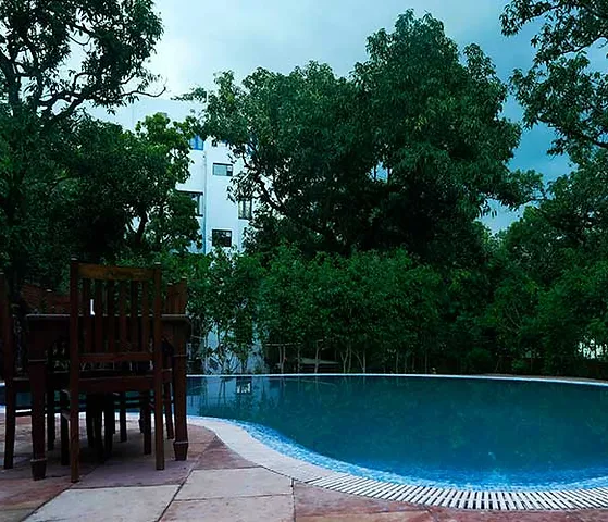 Holiday Highlights By Howard