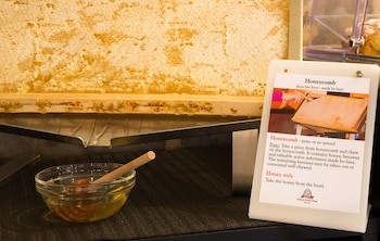 Best Western Plus Chc Florence