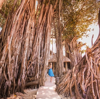 Canonnier Beachcomber Golf Resort & Spa